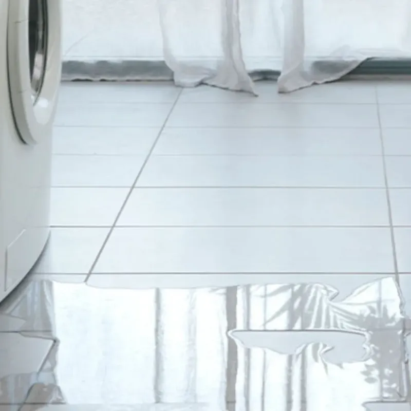 Appliance Leak Cleanup in Caro, MI