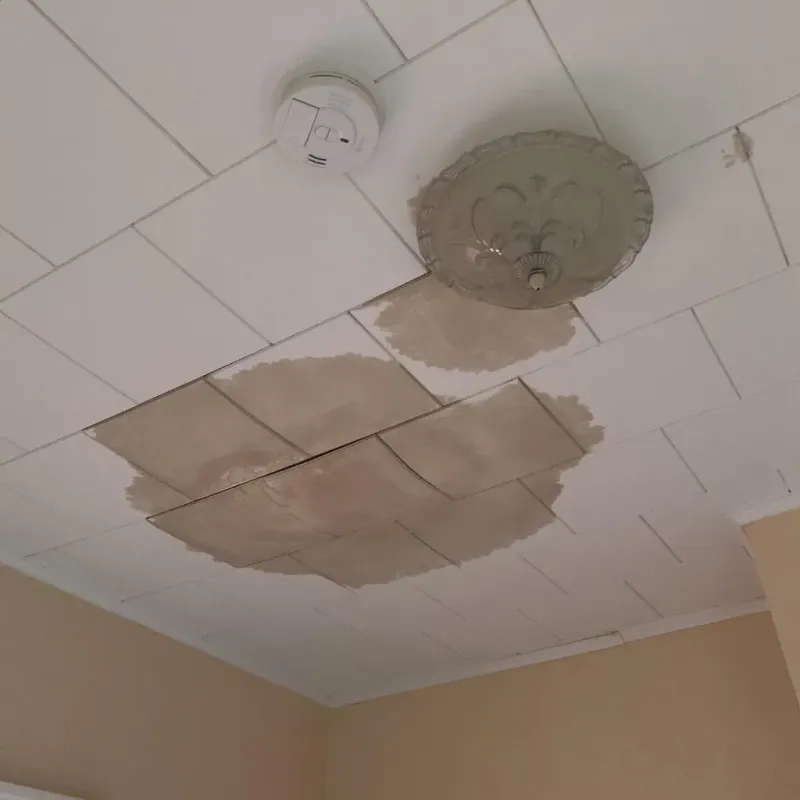 Ceiling Water Damage Repair in Caro, MI