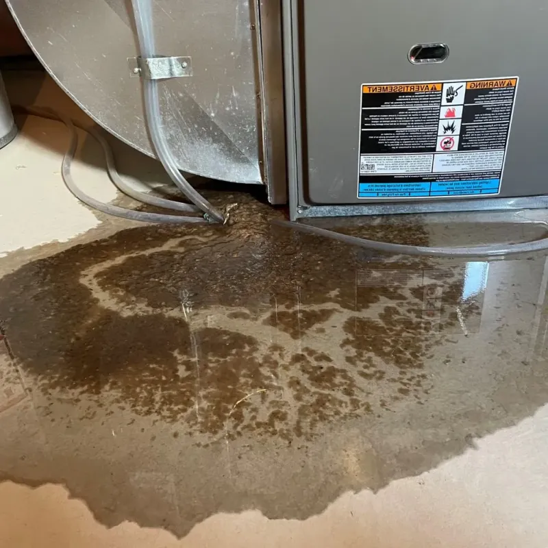 Pipe Burst and Leak Restoration in Caro, MI