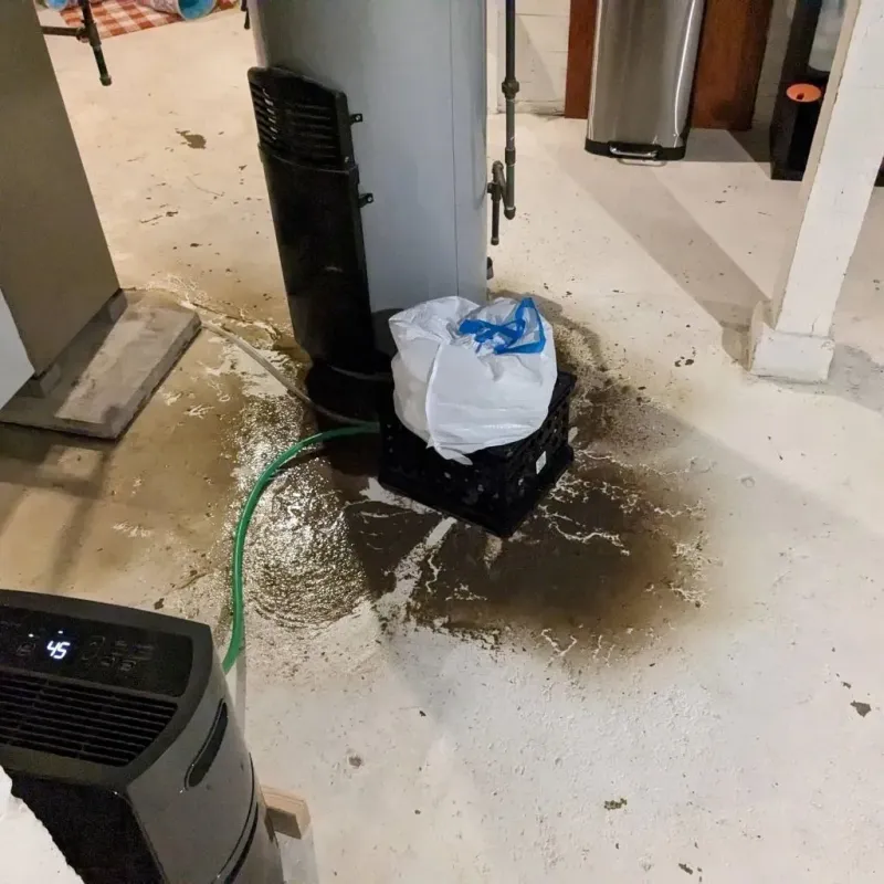 Sewage Backup Cleanup Service in Caro, MI